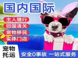 鄂托克旗乌兰机场托运国际宠物托运 【国